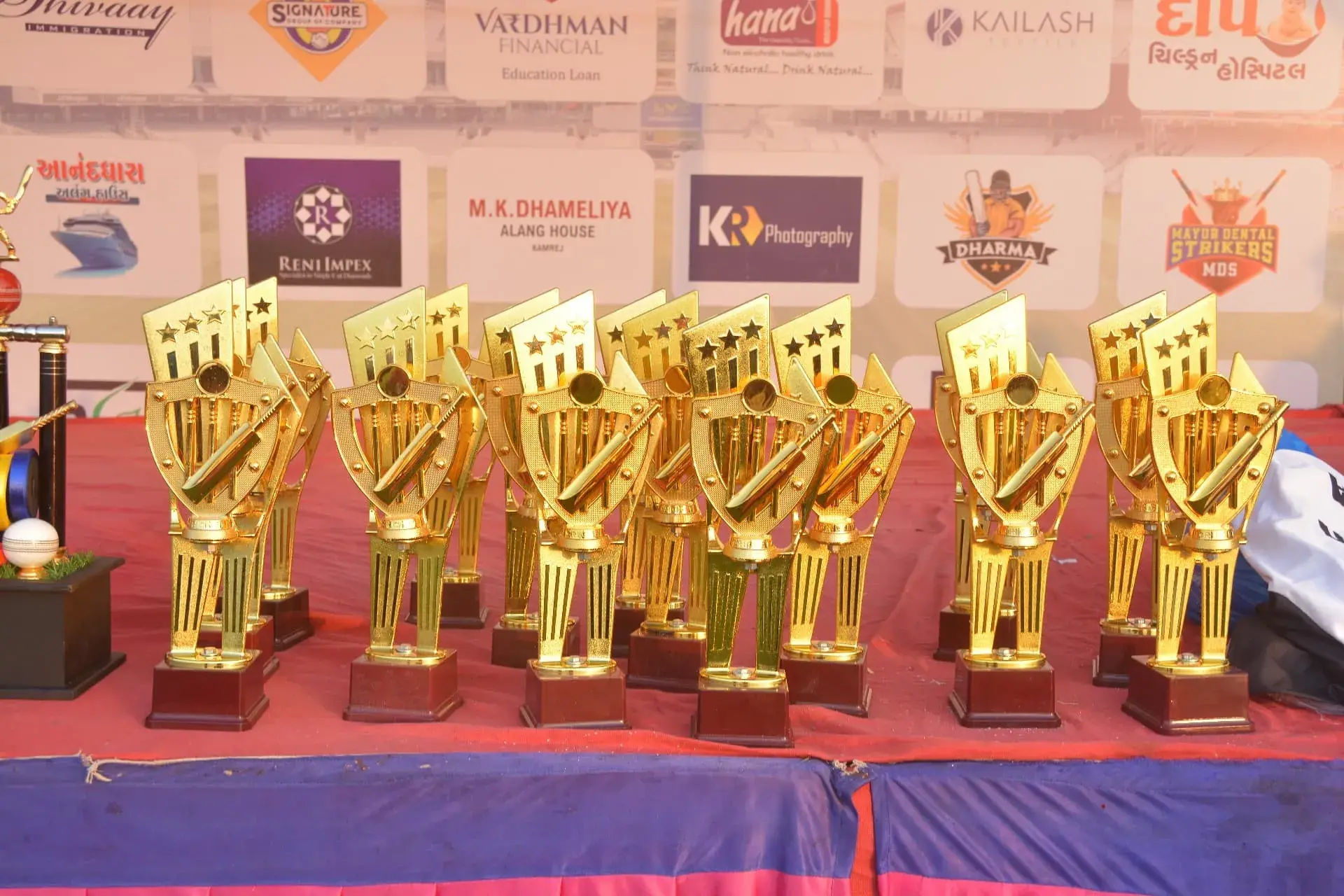 Dhameliya Parivar Cricket Tournament